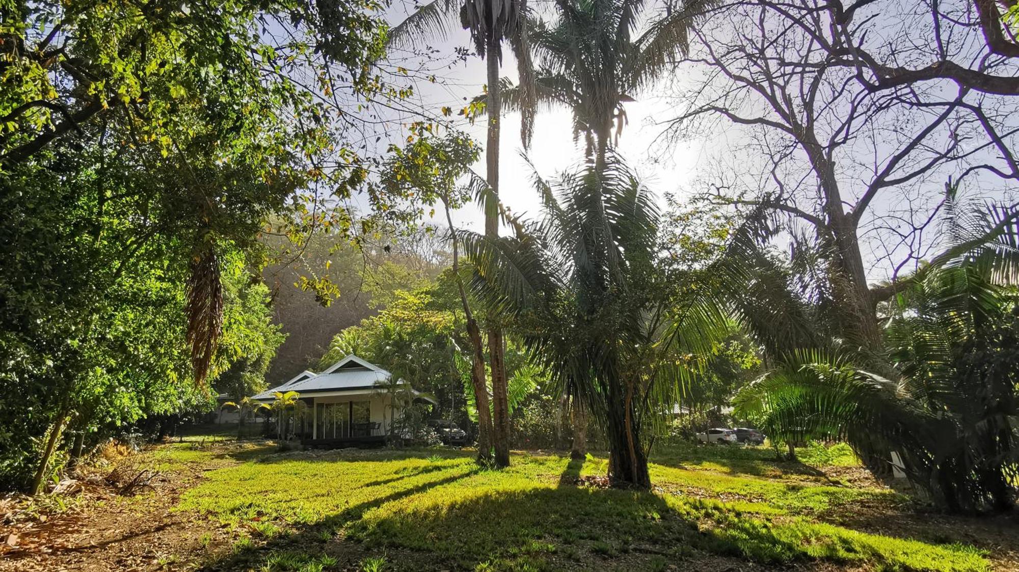 Armadillo Eco Bungalows - Santa Teresa Playa Santa Teresa  ภายนอก รูปภาพ