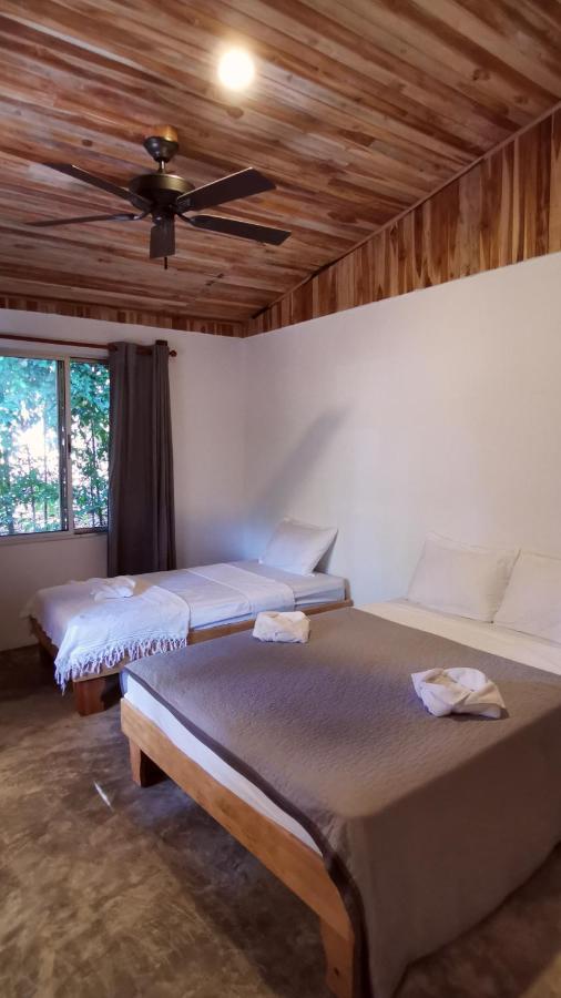 Armadillo Eco Bungalows - Santa Teresa Playa Santa Teresa  ภายนอก รูปภาพ
