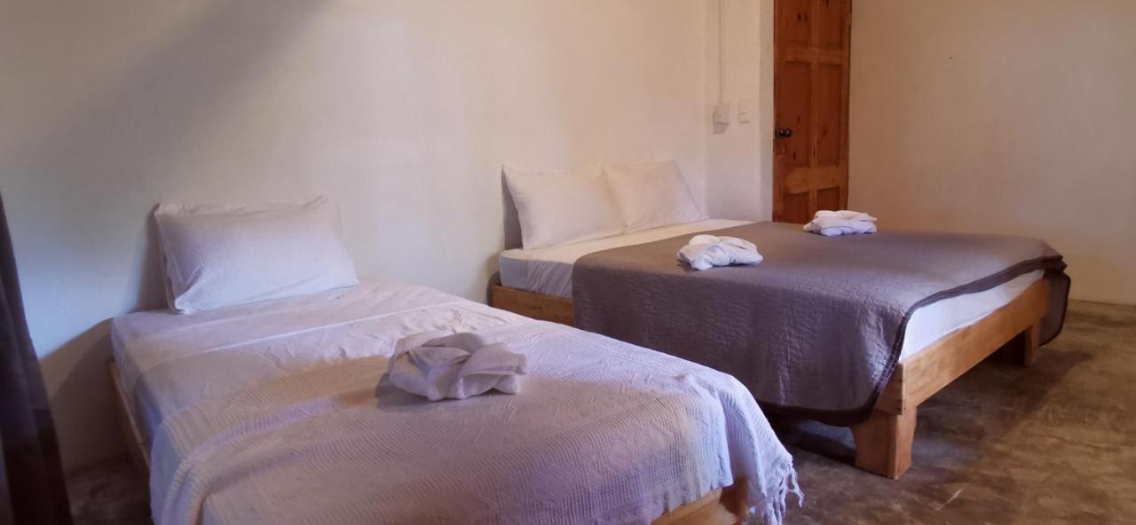 Armadillo Eco Bungalows - Santa Teresa Playa Santa Teresa  ภายนอก รูปภาพ