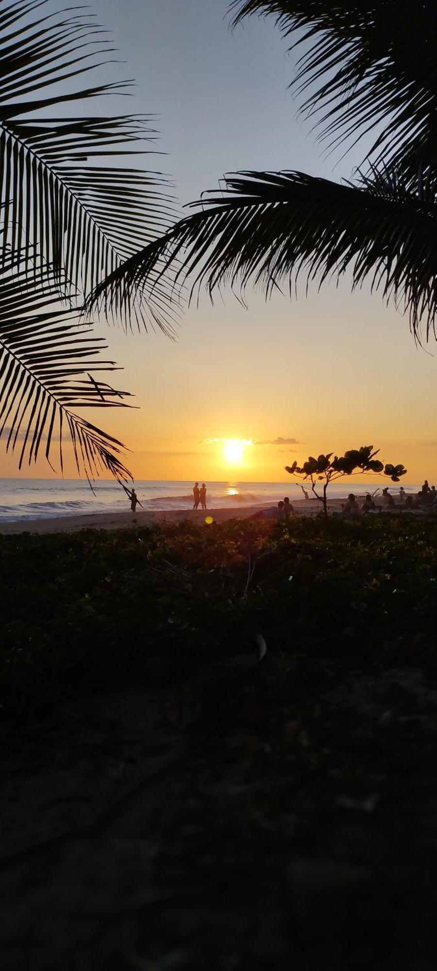Armadillo Eco Bungalows - Santa Teresa Playa Santa Teresa  ภายนอก รูปภาพ