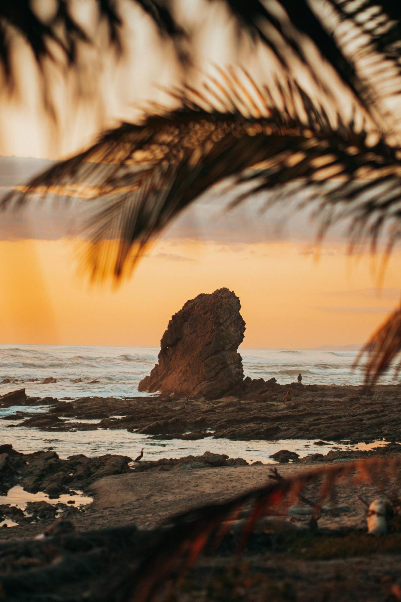 Armadillo Eco Bungalows - Santa Teresa Playa Santa Teresa  ภายนอก รูปภาพ